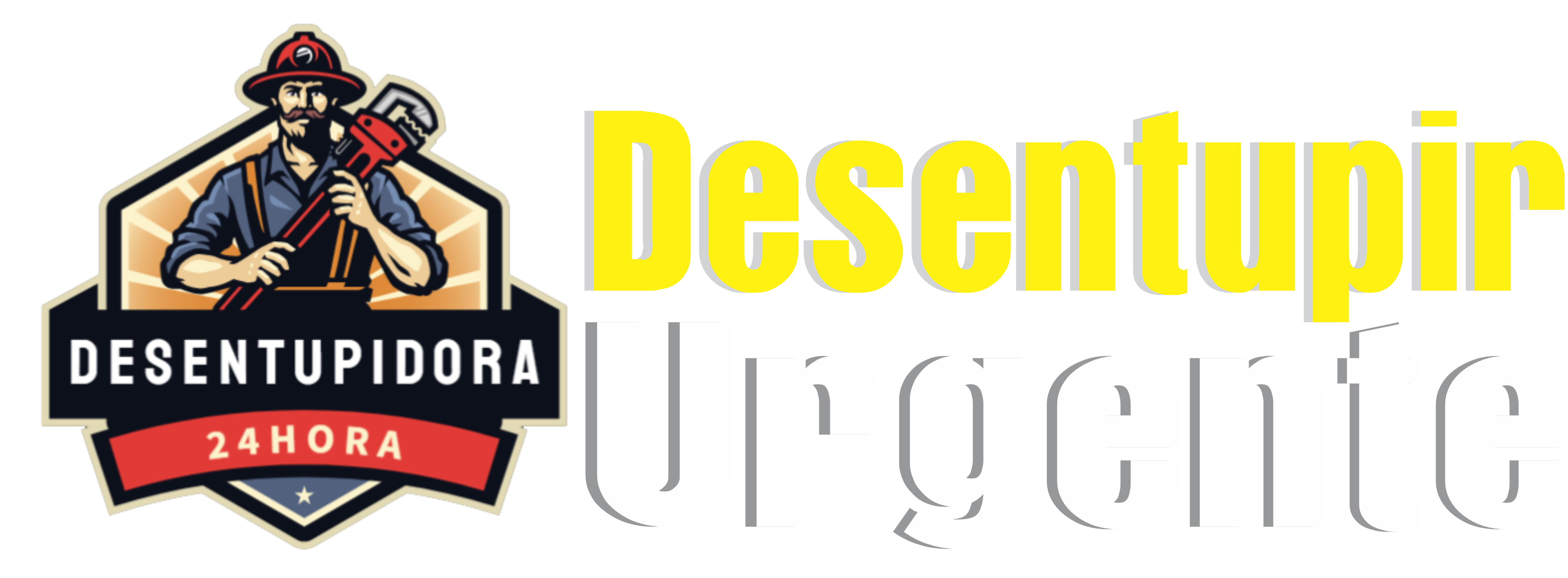 Buarque Desentupidora